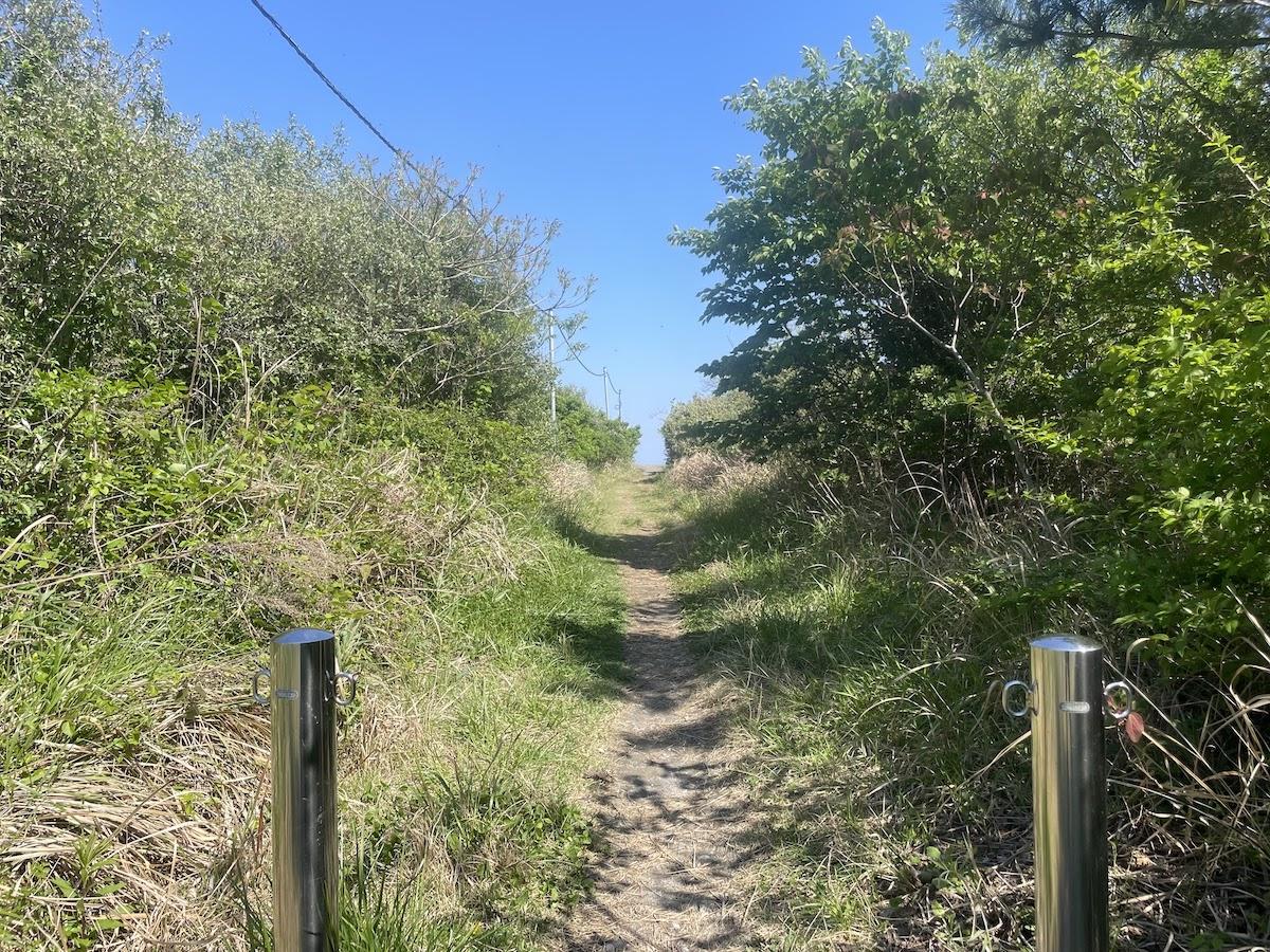 千葉県いすみ市日在の売買物件/一番海よりの通りには海に抜ける小道がありました。