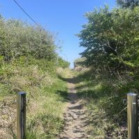 千葉県いすみ市日在の売買物件/一番海よりの通りには海に抜ける小道がありました。