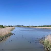 千葉県いすみ市日在の売買物件/日在界隈の象徴のラグーン