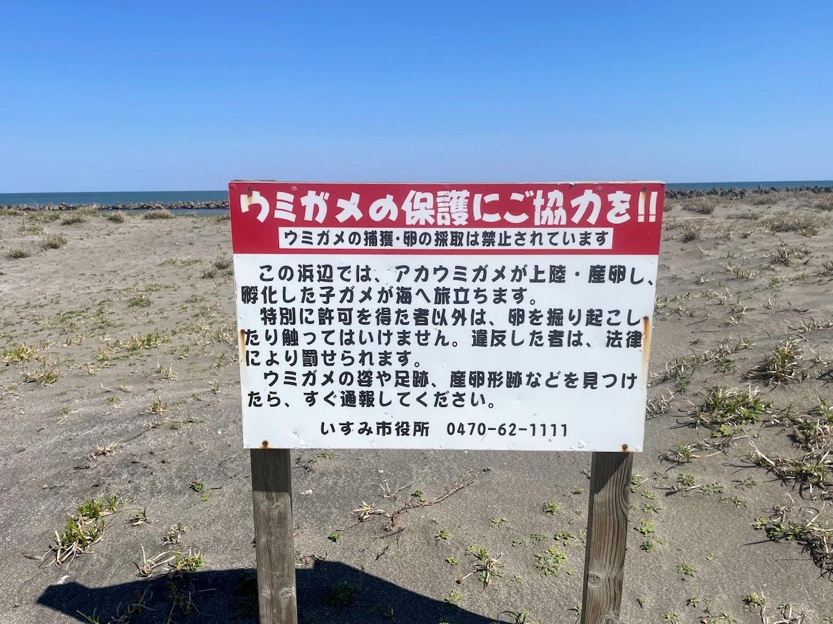 千葉県いすみ市日在の売買物件/海岸にはウミガメ保護の看板が所々にあります。