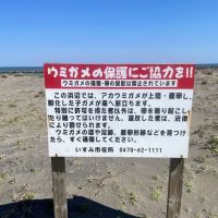 千葉県いすみ市日在の売買物件/海岸にはウミガメ保護の看板が所々にあります。