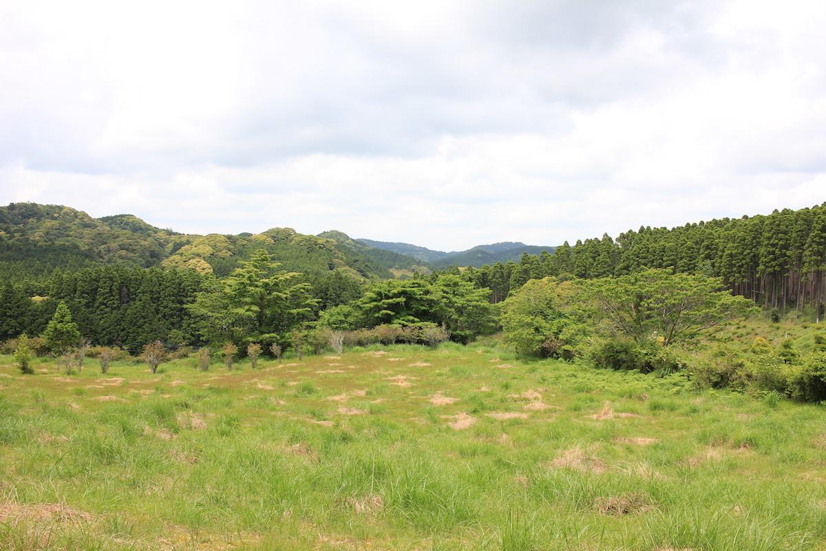 千葉県夷隅郡大多喜町会所の売買物件/敷地中央より。緑と空、開放感が堪らない