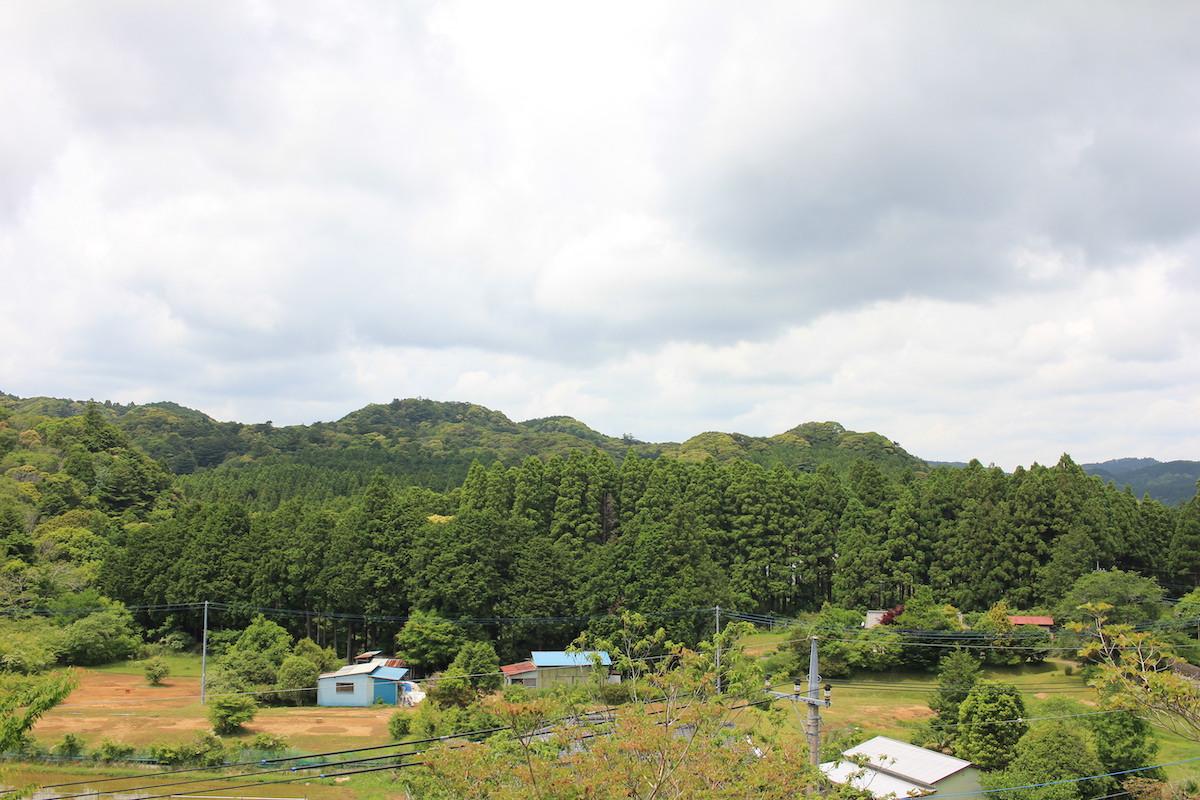千葉県夷隅郡大多喜町会所の売買物件/敷地から周囲を望む