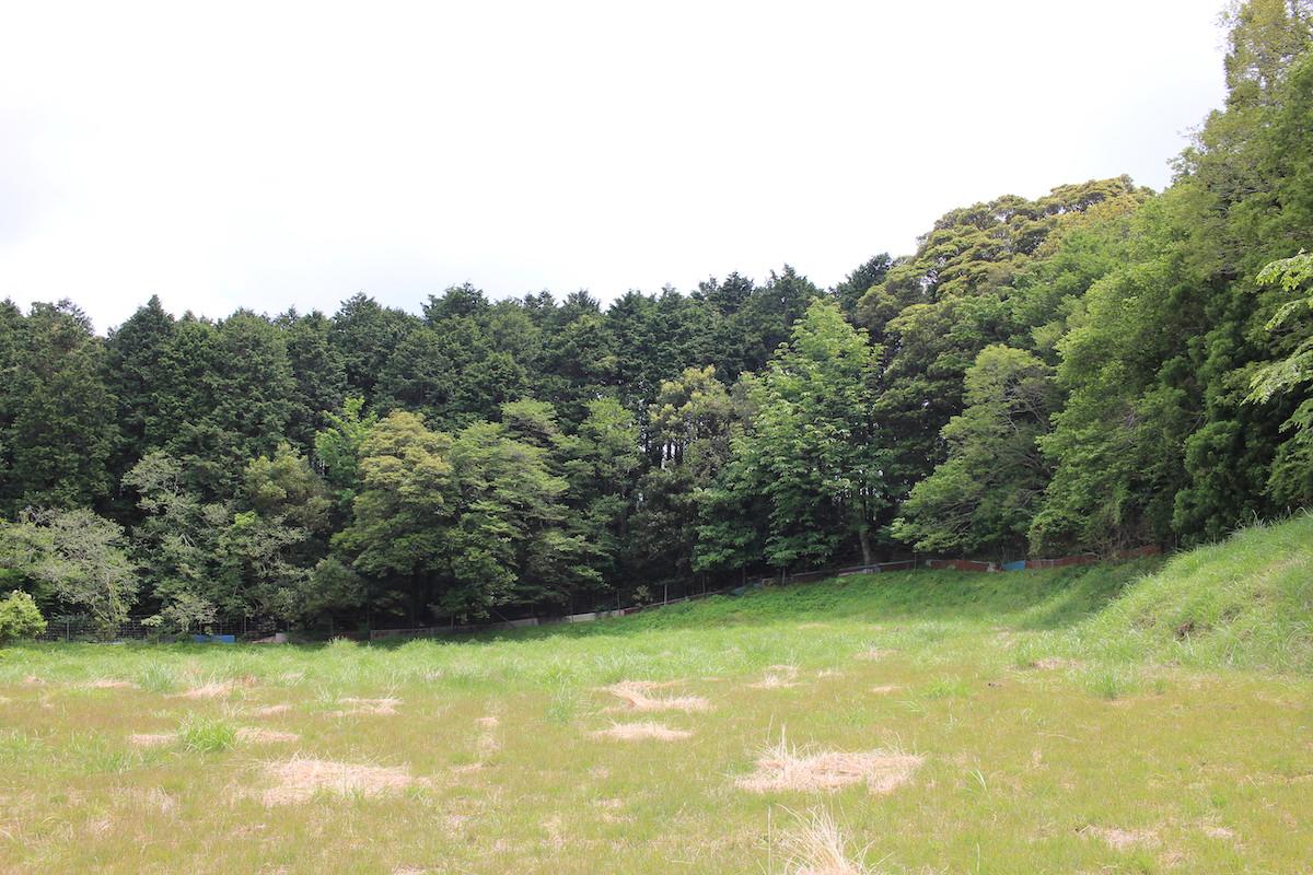 千葉県夷隅郡大多喜町会所の売買物件/敷地右奥を眺める。傾斜しながらも、広く開ける