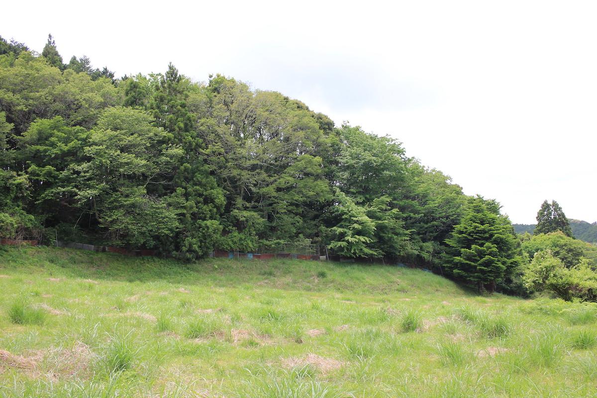 千葉県夷隅郡大多喜町会所の売買物件/敷地の右手前側を眺める。境界線に柵を設置済み