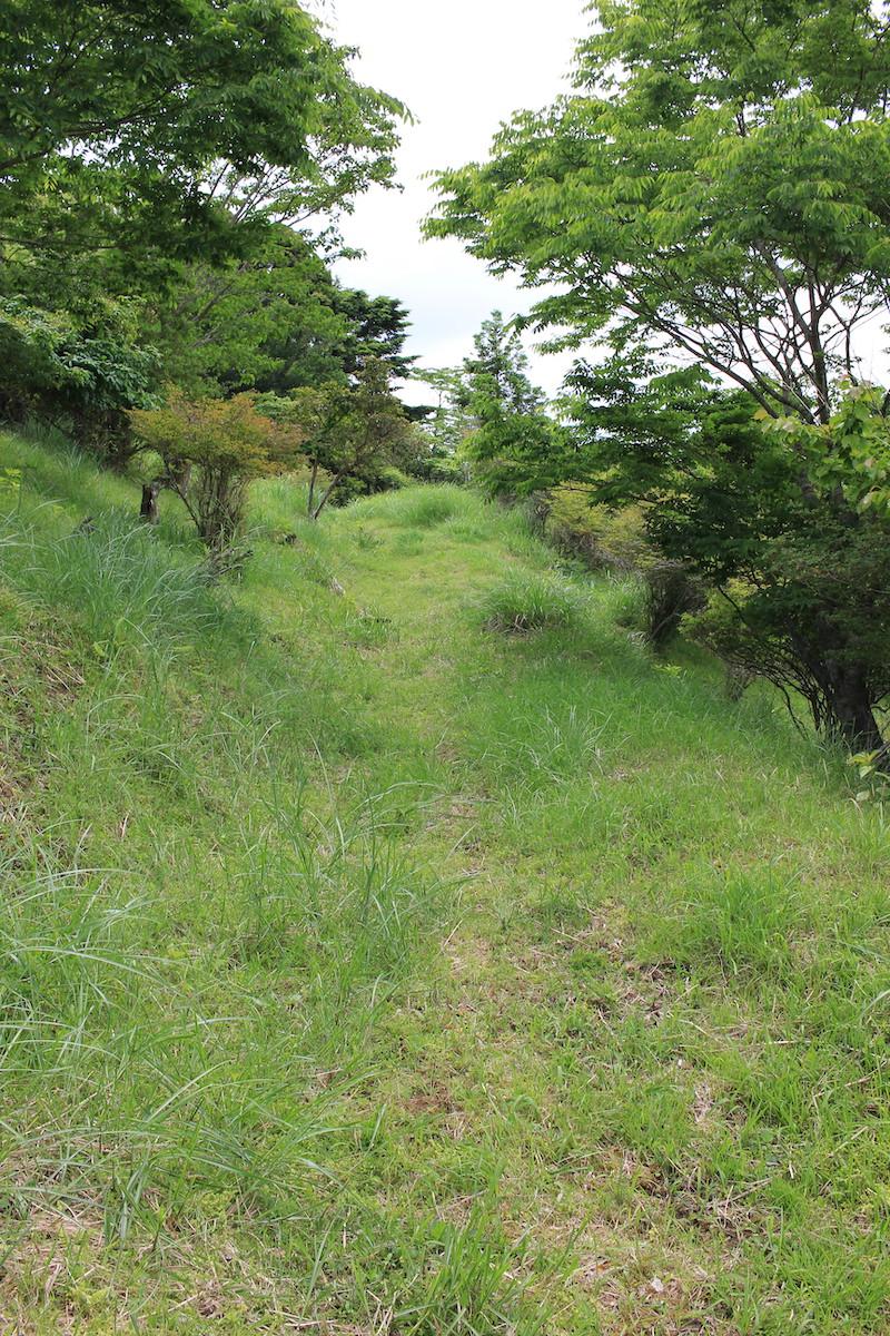 千葉県夷隅郡大多喜町会所の売買物件/入口より敷地へのアプローチ