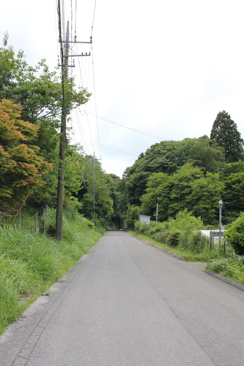 千葉県夷隅郡大多喜町会所の売買物件/敷地前面道路の様子