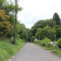 千葉県夷隅郡大多喜町会所の売買物件/敷地前面道路の様子
