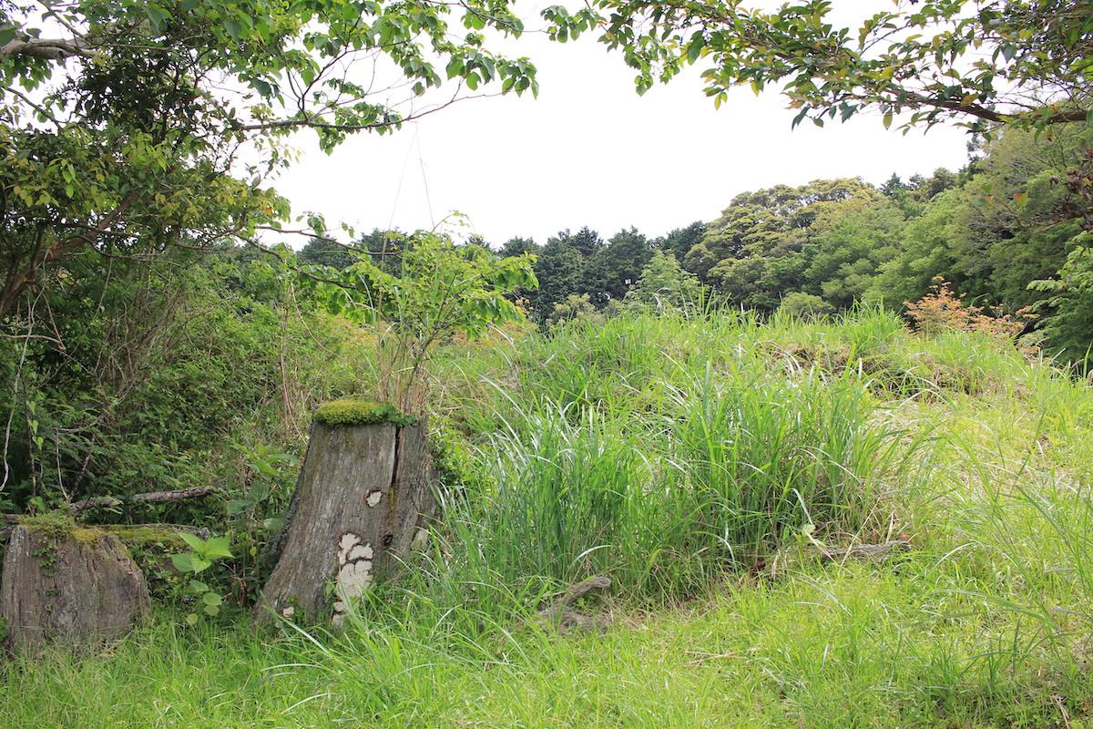 千葉県夷隅郡大多喜町会所の売買物件/キャンプ場などの事業用物件としても