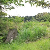 千葉県夷隅郡大多喜町会所の売買物件/キャンプ場などの事業用物件としても