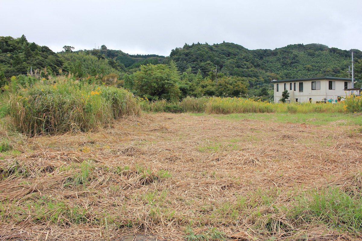 千葉県夷隅郡大多喜町田代の売買物件/敷地全景。奥には大多喜の山々が