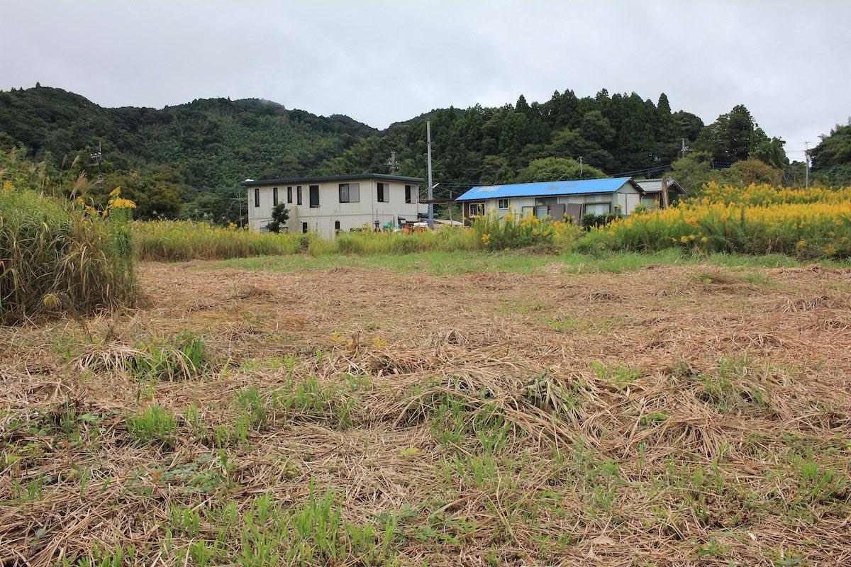 千葉県夷隅郡大多喜町田代の売買物件/入口から敷地全体を眺める。隣家の様子も