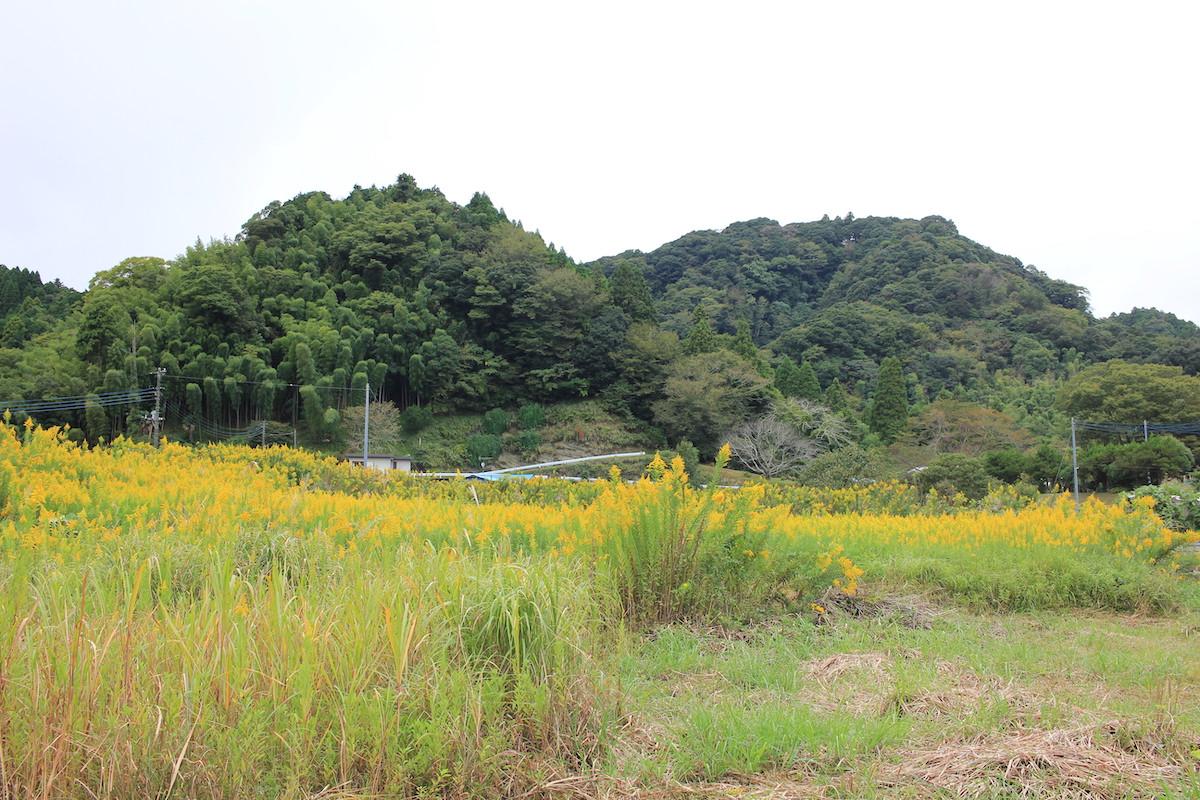千葉県夷隅郡大多喜町田代の売買物件/山を望む土地。ホッとするひととき