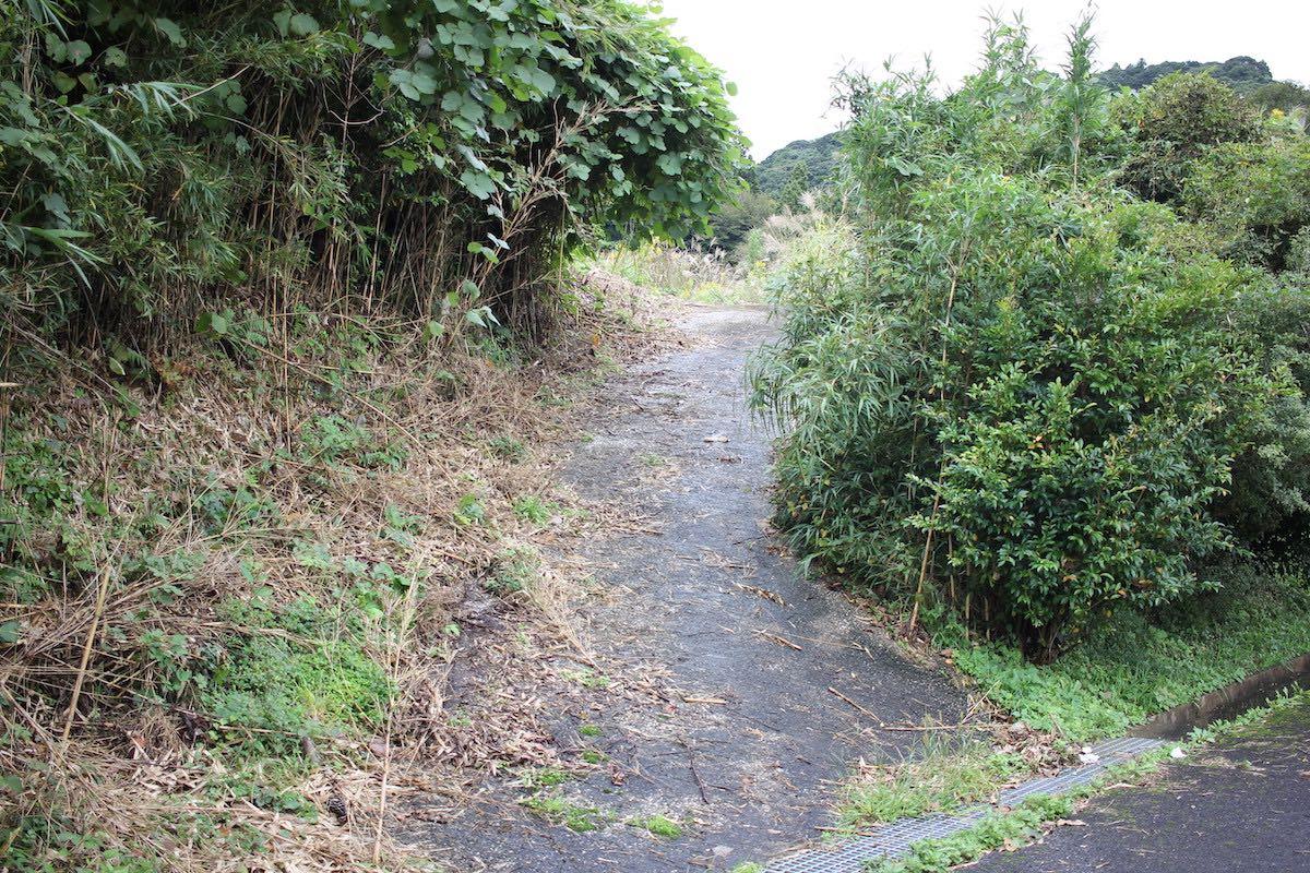 千葉県夷隅郡大多喜町田代の売買物件/入口の様子。傾斜はありますが車の往来には十分