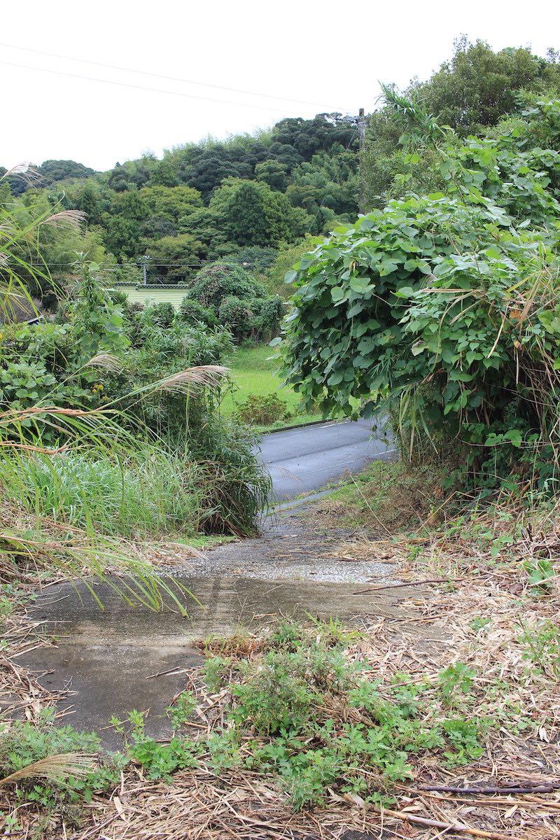 千葉県夷隅郡大多喜町田代の売買物件/敷地からスロープを見下ろす