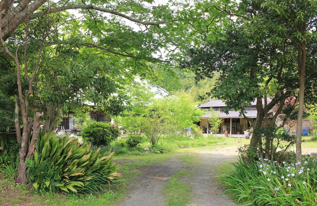千葉県夷隅郡大多喜町田代の売買物件/敷地への、メインアプローチ。木々のトンネルがお出迎え