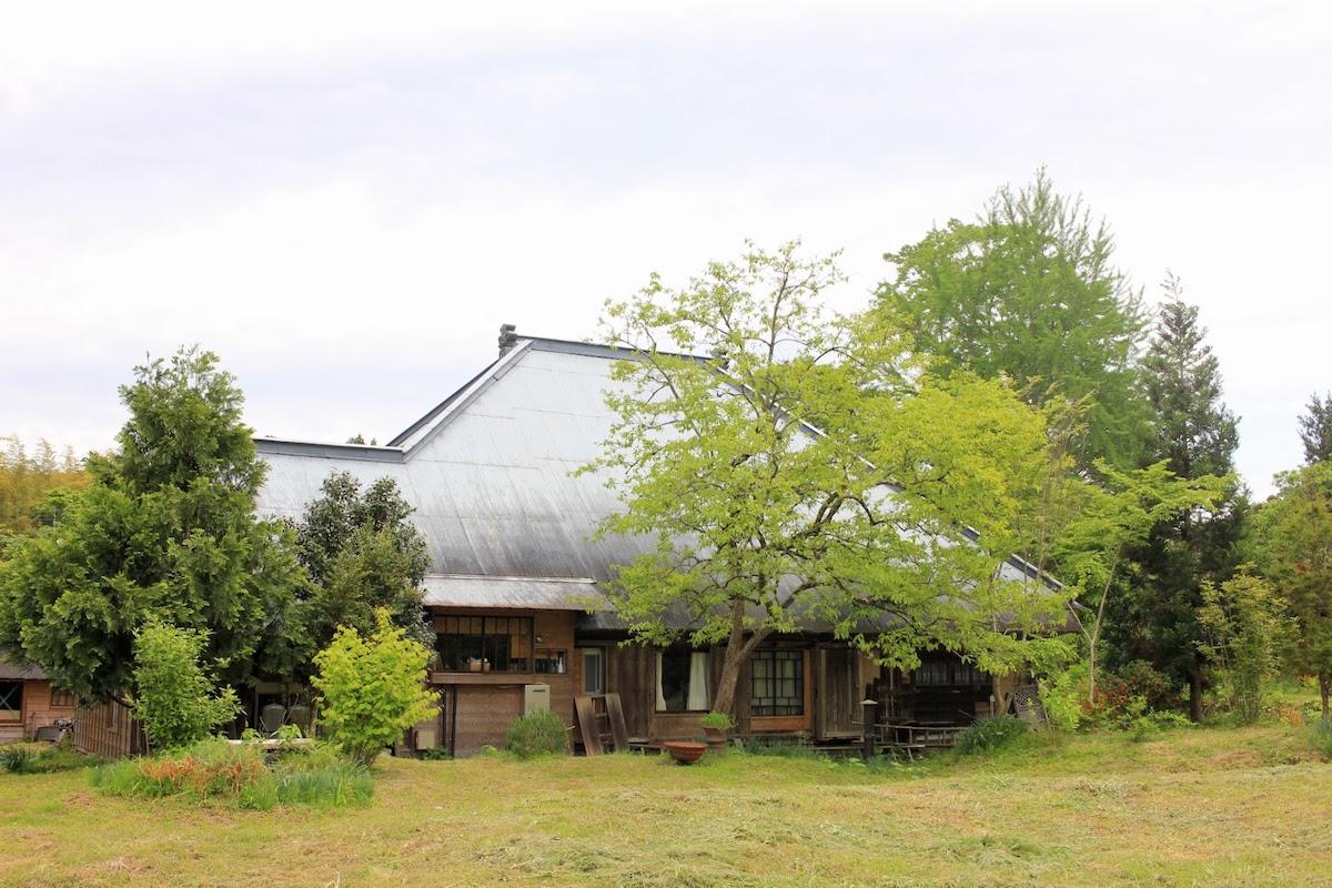 千葉県夷隅郡大多喜町田代の売買物件/敷地奥側から母屋を眺める