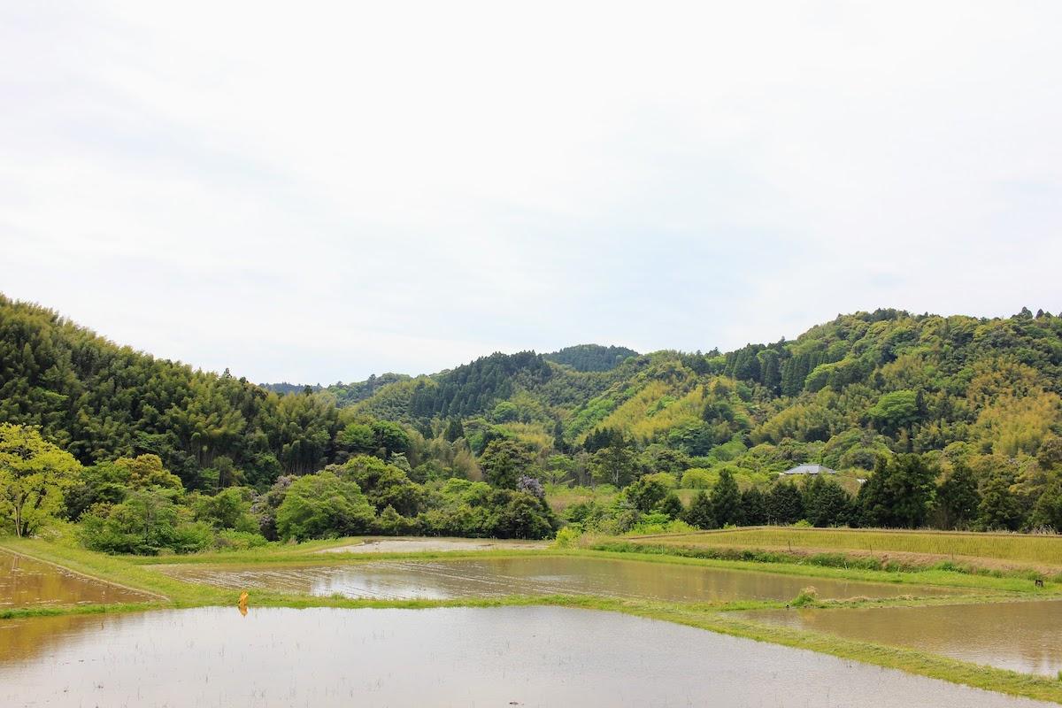 千葉県夷隅郡大多喜町田代の売買物件/物件のある地域はザ・里山なのです！