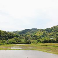 千葉県夷隅郡大多喜町田代の売買物件/物件のある地域はザ・里山なのです！