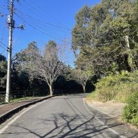 千葉県長生郡長柄町針ヶ谷の賃貸物件