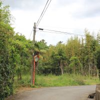 千葉県いすみ市岬町中原の売買物件/物件南側からのアプローチ