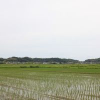 千葉県いすみ市岬町中原の売買物件/物件周辺は田んぼが広がる長閑なエリアです