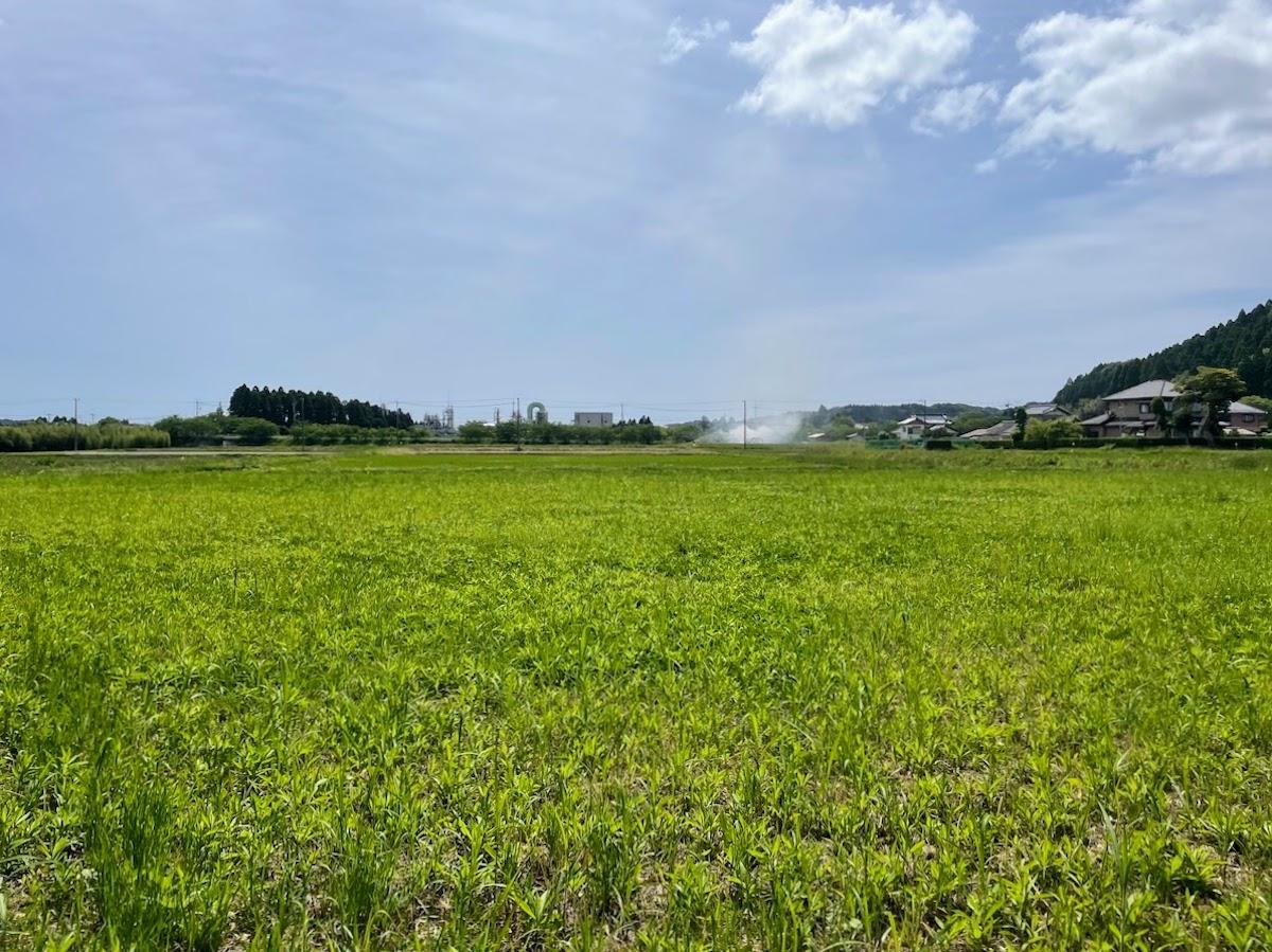 千葉県いすみ市万木の売買物件/空と緑がきもちいい