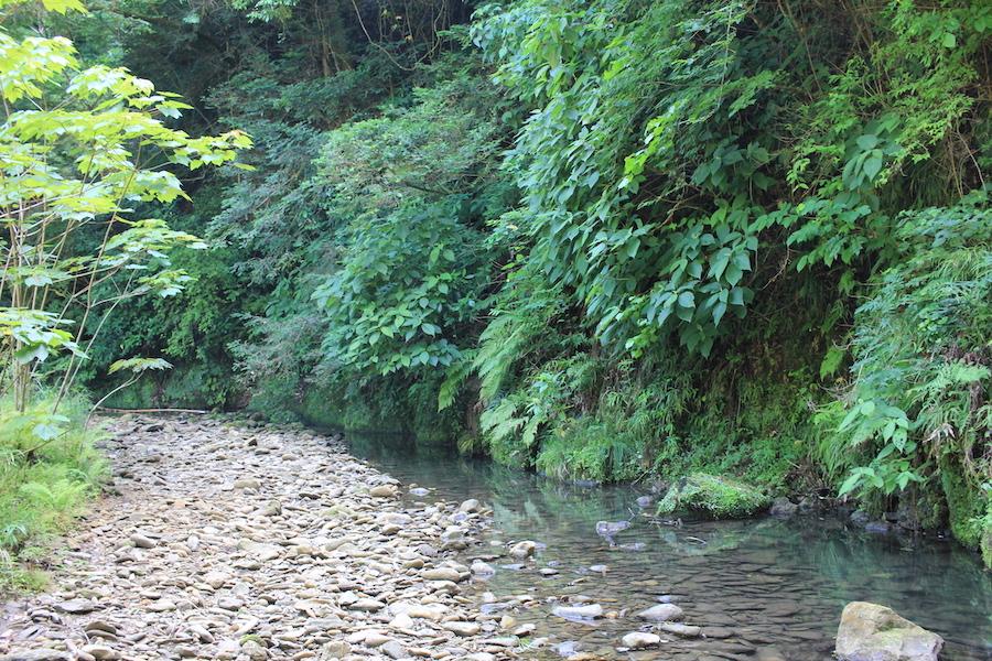 千葉県夷隅郡大多喜町田代の売買物件/川遊びをしたら気持ちよさそう！