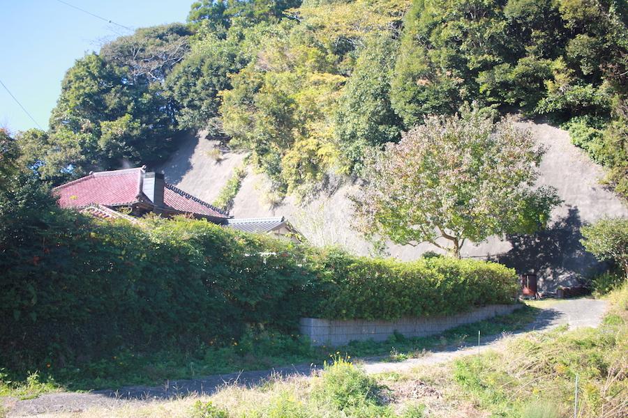 千葉県いすみ市小又井の売買物件/この物件は東側からもアプローチ可能。奥にシンボルツリーがお出迎え