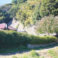 千葉県いすみ市小又井の売買物件/この物件は東側からもアプローチ可能。奥にシンボルツリーがお出迎え