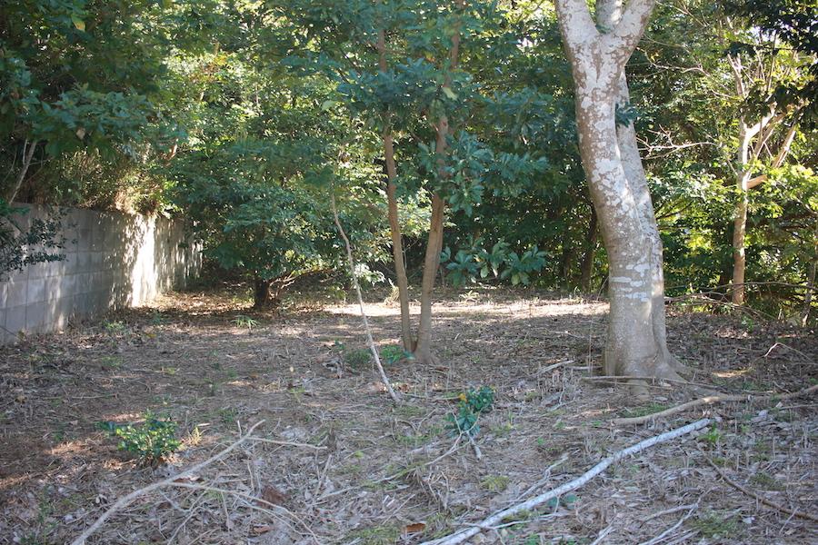 千葉県いすみ市岬町中原の売買物件/敷地には様々な植栽が