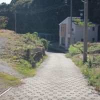 千葉県いすみ市岬町中原の売買物件/物件前より接道を眺める（西側） 
