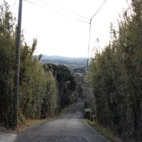 千葉県南房総市峰の売買物件/前面道路(南側)の様子