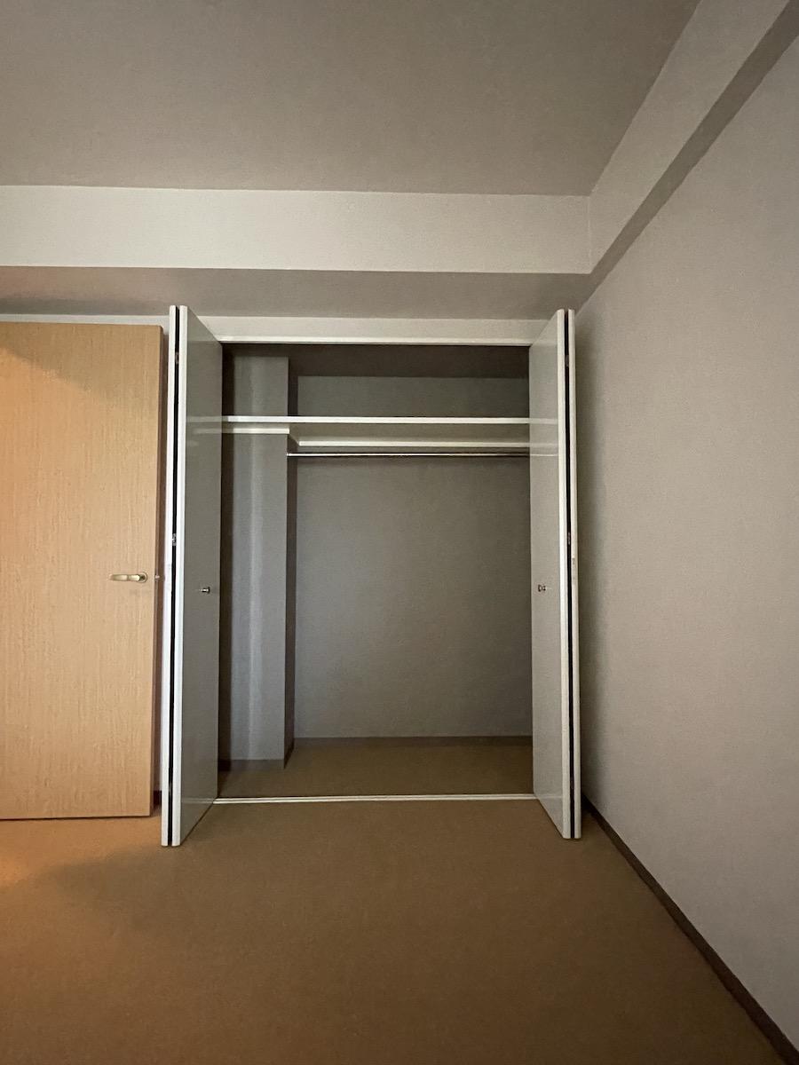 千葉県東金市田間の賃貸物件/玄関側の部屋の収納（ウォークインクローゼット）