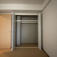 千葉県東金市田間の賃貸物件/玄関側の部屋の収納（ウォークインクローゼット）