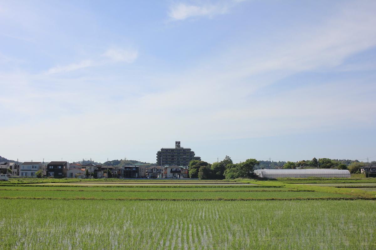 千葉県東金市田間の賃貸物件/南側の田んぼから物件を眺める。周囲に高い建物ございません