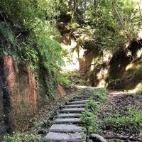 千葉県東金市田間の賃貸物件/八鶴湖を過ぎ、神社へと続く切り通し