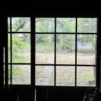 千葉県いすみ市楽町の賃貸物件/まるで額縁のように窓枠で切り取られた、庭の情景