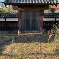 千葉県いすみ市楽町の賃貸物件/前面道路側にある冠木門の存在感