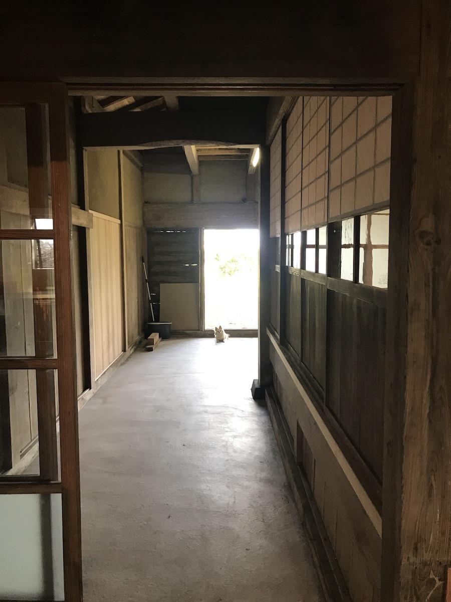 千葉県大網白里市南今泉の賃貸物件/土間の奥側から玄関方向を。猫さんの来客も⁈