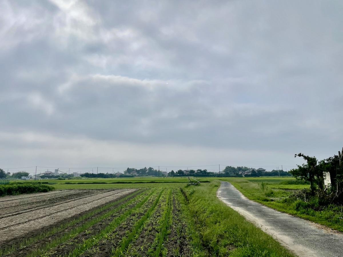 千葉県大網白里市南今泉の賃貸物件/前面道路からの眺め。はるか向こうは九十九里の海
