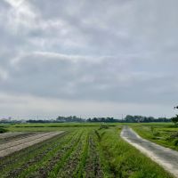 千葉県大網白里市南今泉の賃貸物件/前面道路からの眺め。はるか向こうは九十九里の海