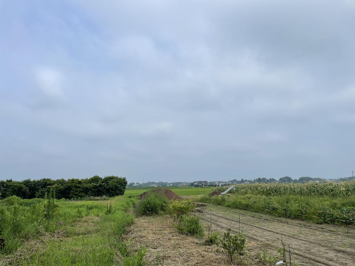 千葉県大網白里市南今泉の賃貸物件/建物裏側からの眺め。開けた田園風景が広がります