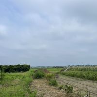 千葉県大網白里市南今泉の賃貸物件/建物裏側からの眺め。開けた田園風景が広がります