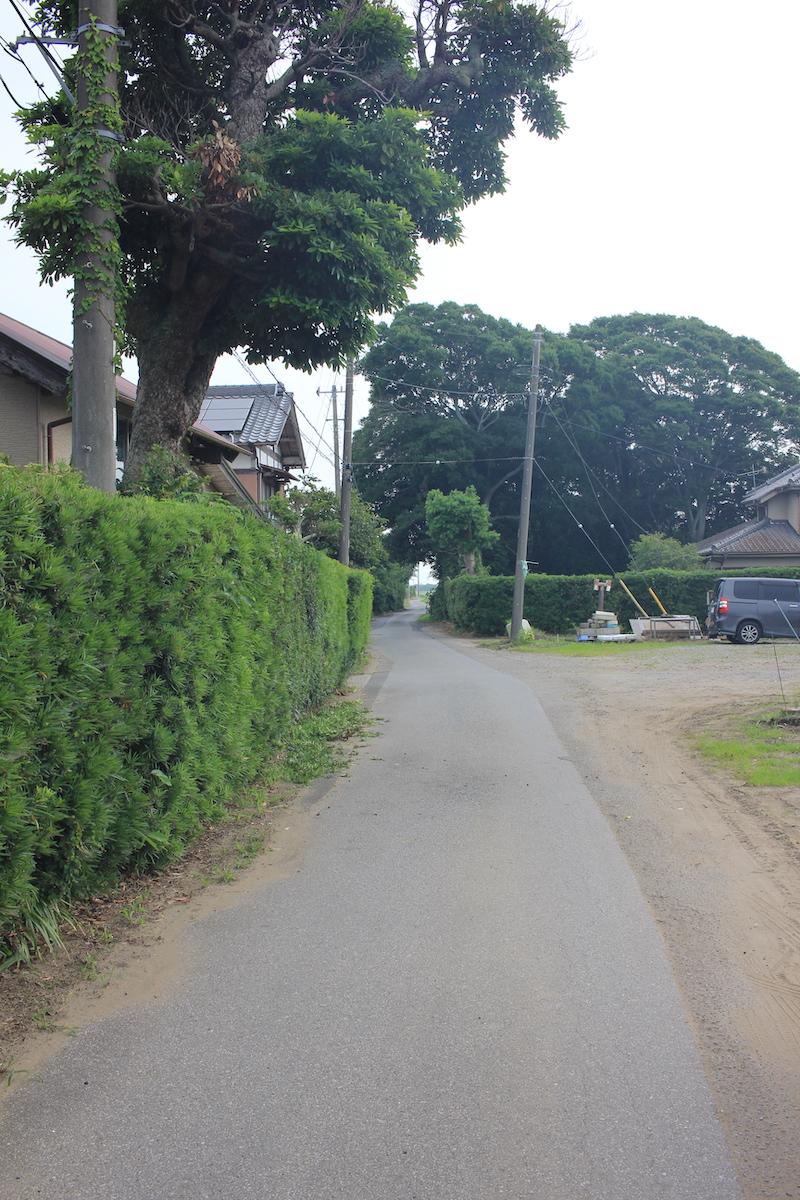 千葉県大網白里市南今泉の賃貸物件/前面道路北側の様子