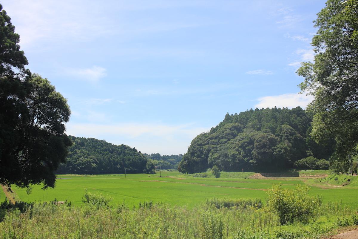 千葉県香取市白井の売買物件/物件の山の外周から遠くを眺める。どこまでも続く、里山の風景