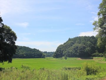 千葉県香取市白井の売買物件/《価格改定》水の郷、山あそび