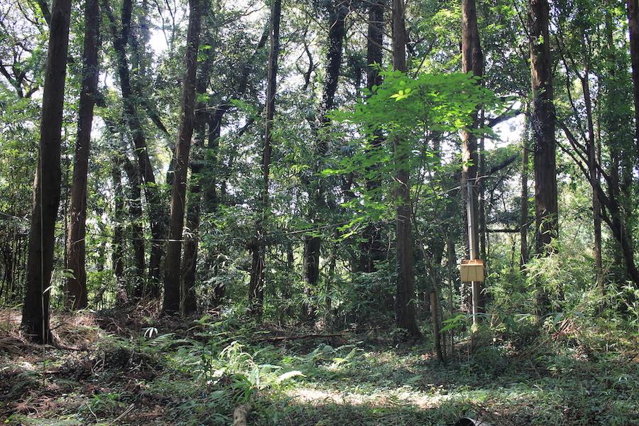 千葉県香取市白井の売買物件/物件を登り切った、開けた空間。ここに電柱が立っています
