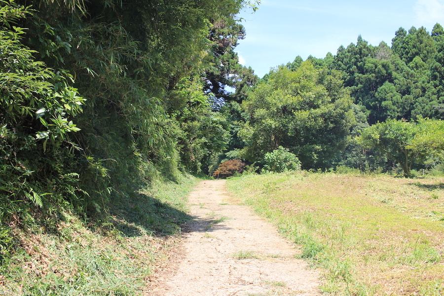 千葉県香取市白井の売買物件/物件の入り口周辺。道を挟んだ向かいは耕作地