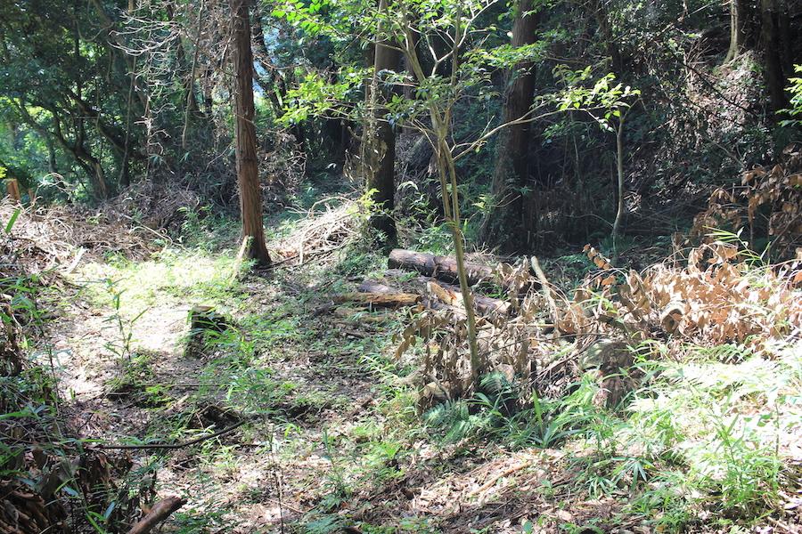 千葉県香取市白井の売買物件/開拓の苦労の跡。切り出した木材もムダなく活用したい